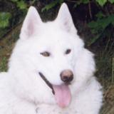 Photo of Aztlan