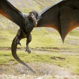 Photo of PIOTRPEPLINSKI