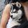 Syzyf