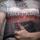 artur_fan_f1