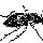 doroti1234