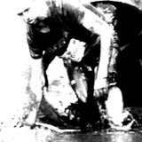 Photo of wiciu