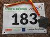 IX Bieg Górski Leszno-Grzybowo